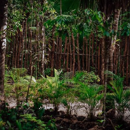 Lunita Jungle Experience Hotel Puerto Morelos Bagian luar foto