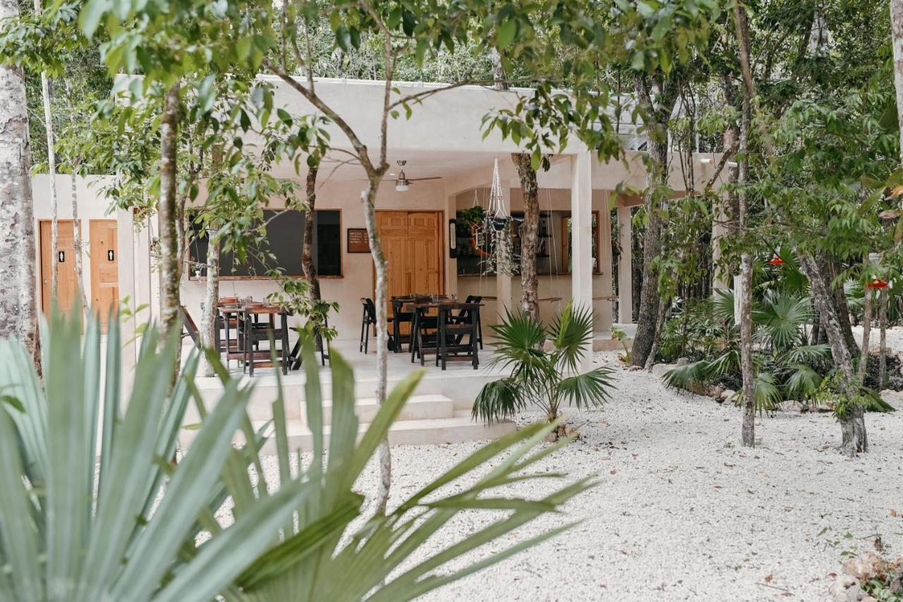 Lunita Jungle Experience Hotel Puerto Morelos Bagian luar foto
