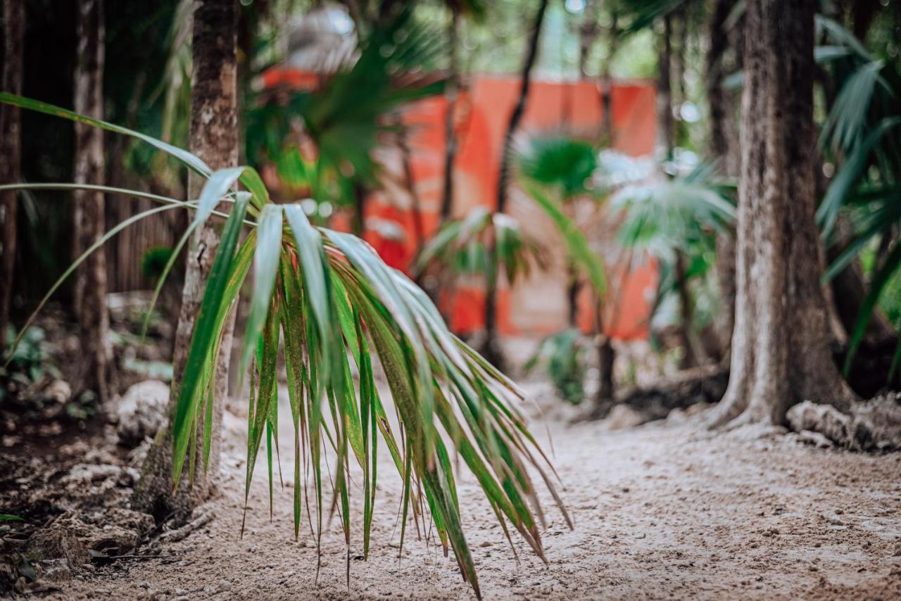 Lunita Jungle Experience Hotel Puerto Morelos Bagian luar foto