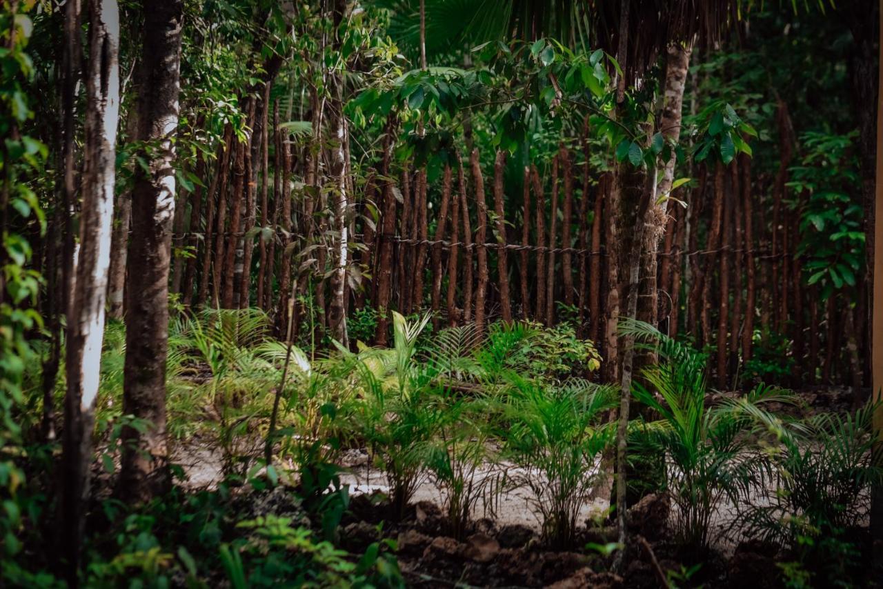 Lunita Jungle Experience Hotel Puerto Morelos Bagian luar foto