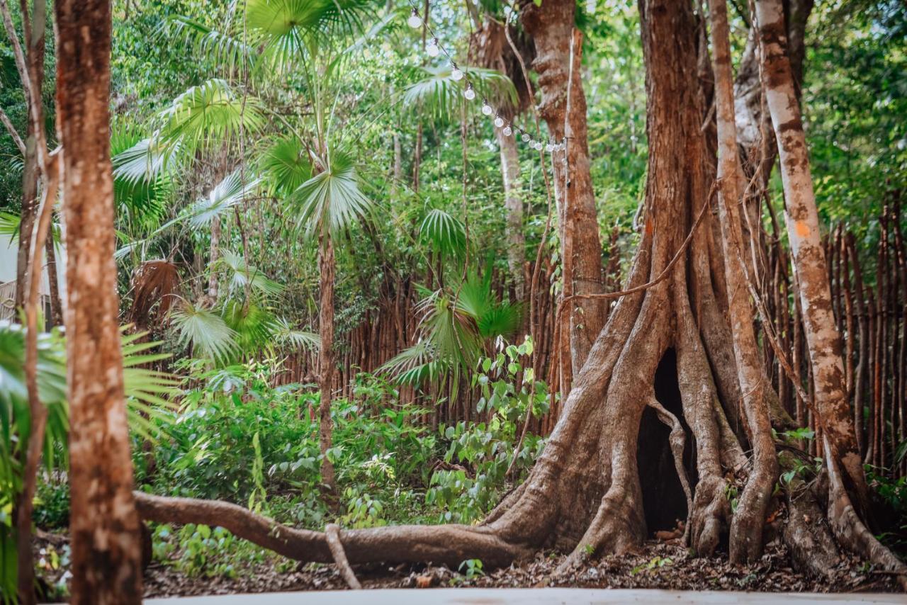 Lunita Jungle Experience Hotel Puerto Morelos Bagian luar foto