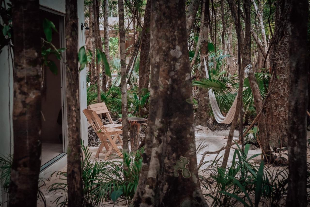 Lunita Jungle Experience Hotel Puerto Morelos Bagian luar foto